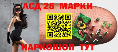прущие грибы Заволжье