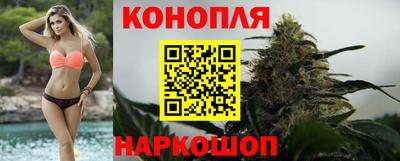 прущие грибы Заволжье