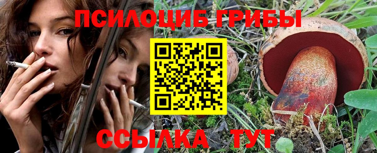 Луховицы  Галлюциногенные грибы прущие грибы  Вход с VPN 